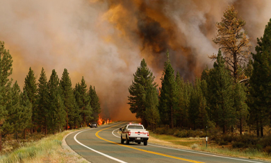 Protect Yourself from Air Pollution